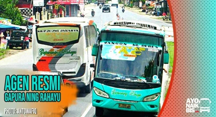 Jembatan Koneksi: Cerita di Balik Agen PO Gapuraning Rahayu Kalipucang